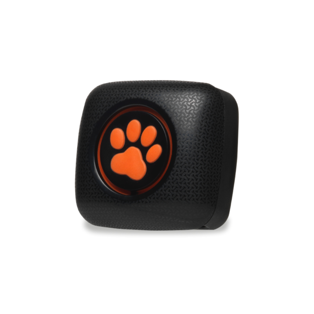 Умный трекер активности для собак. PitPat Dog Activity Monitor